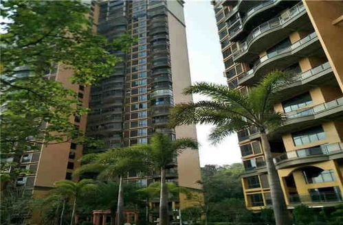 深圳小产权房与商品房 优势与风险全面解读